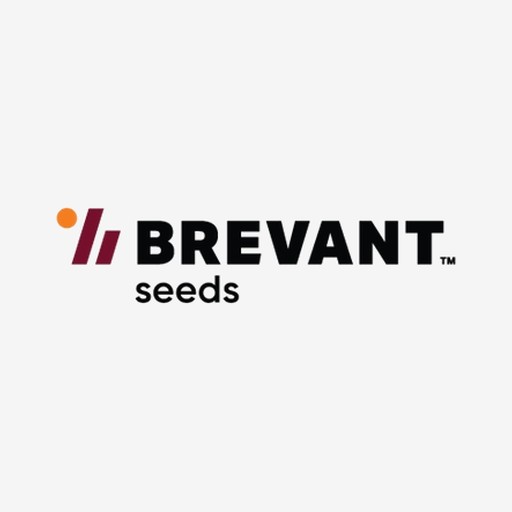 Brevant Seeds